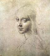 Head of a girl, LEONARDO da Vinci